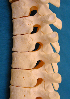 upper extended